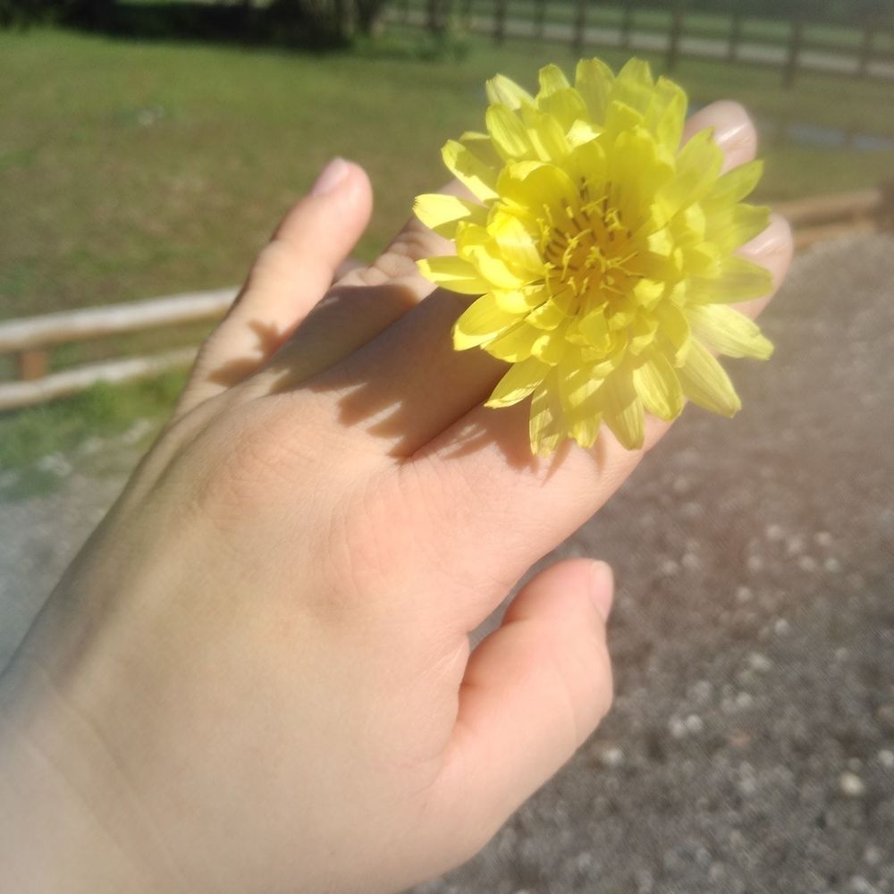 Meet your Posher, Dulce